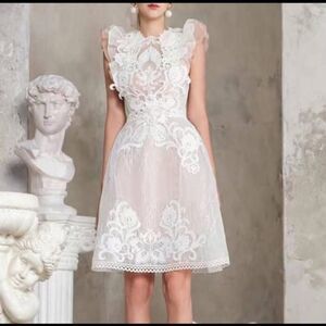 Aimili Lace Lined Dress